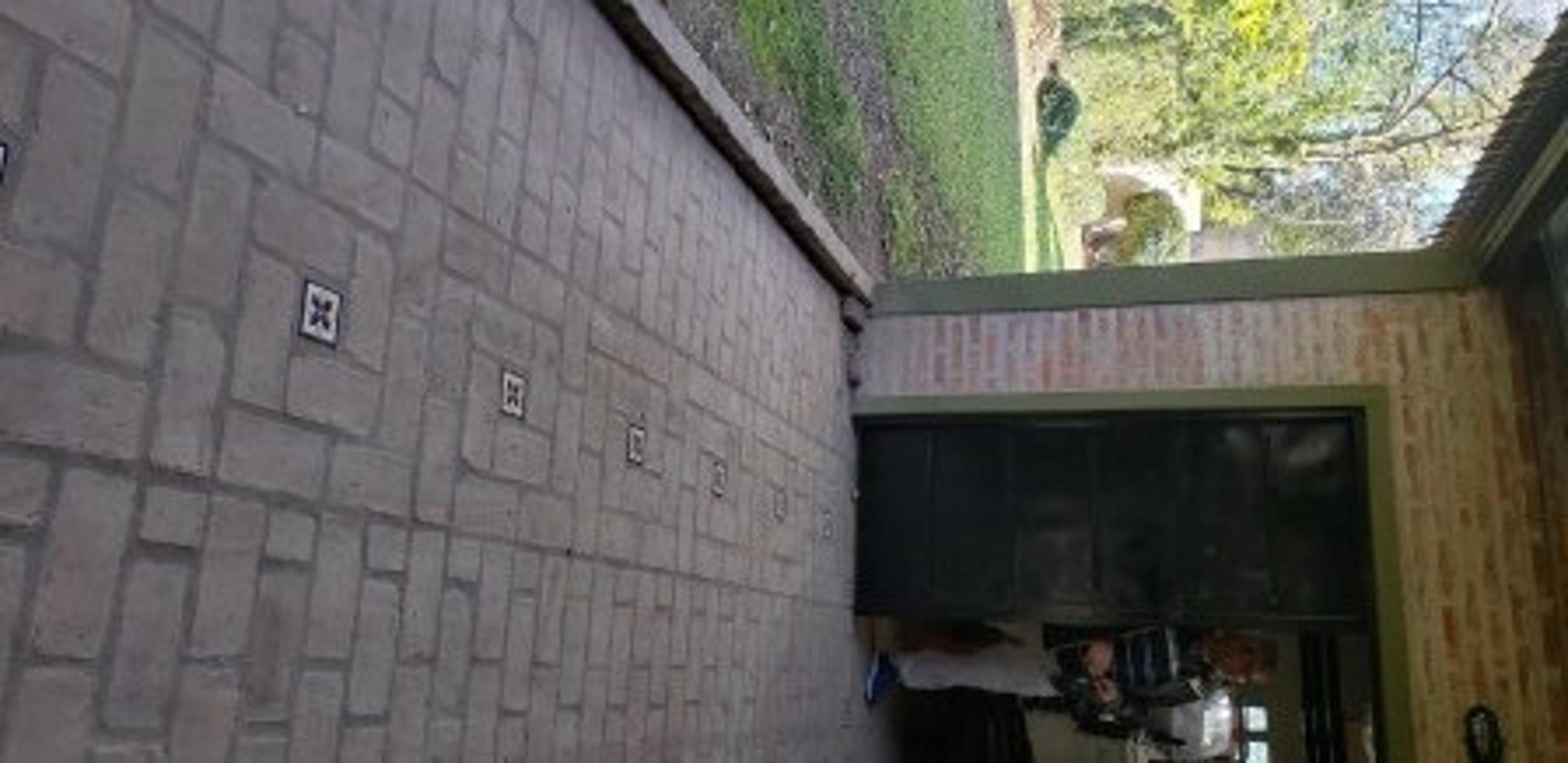 Jàchal 2961 · Moreno — foto 5