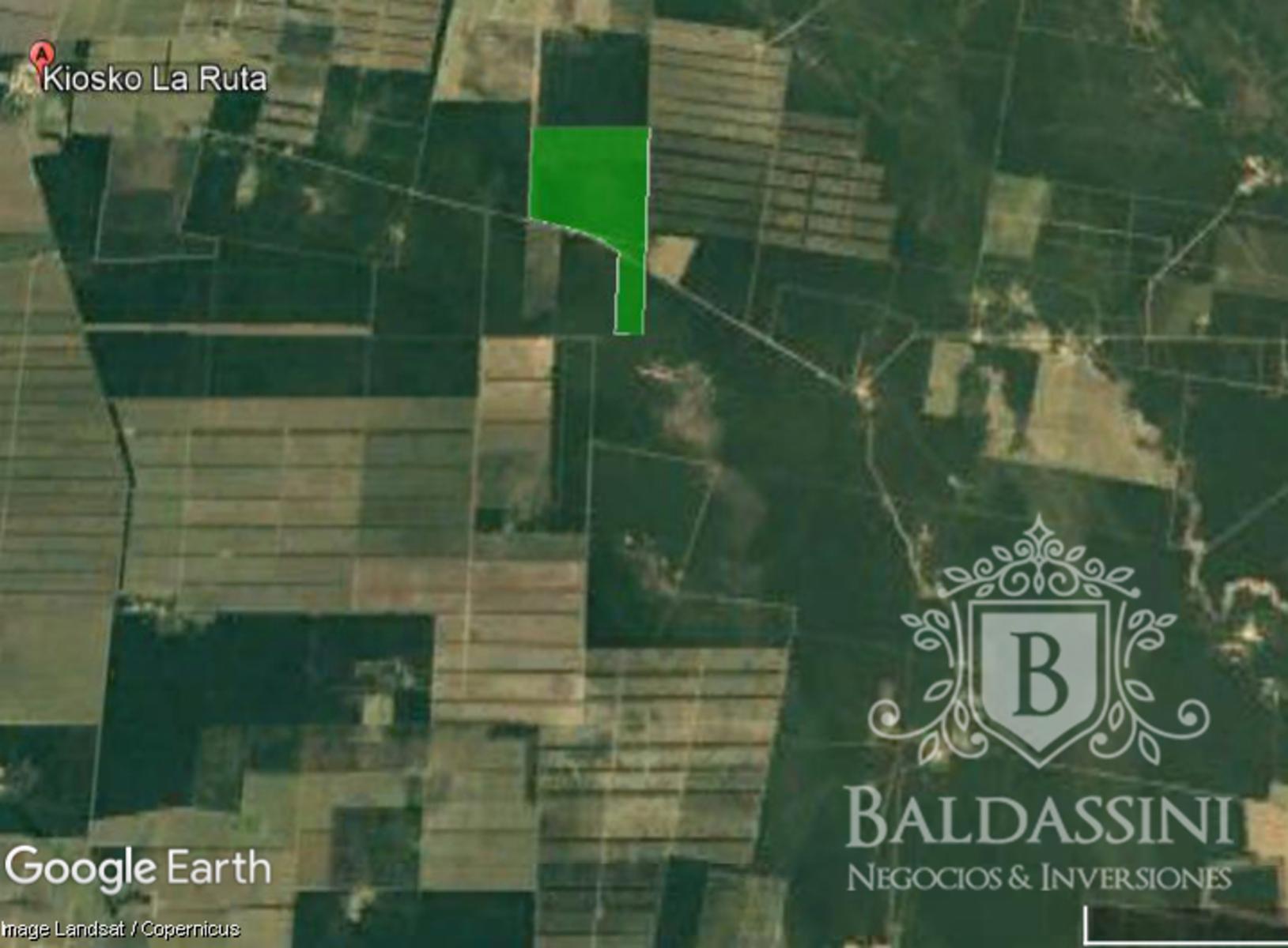 CAMPO DE 1100 HAS CON 600 HAS. LIMPIAS EN POZO BETBEDER, PELLEGRINI, SGO. DEL ESTERO