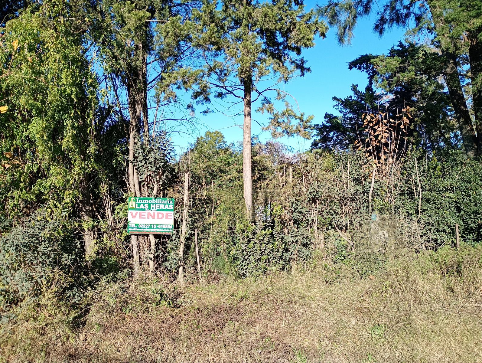 Lotes en venta: Superficie total de 624 m² en ubicación estratégica