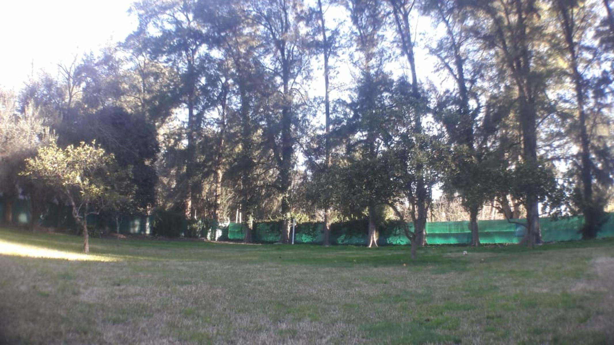 PLUMERILLO · Moreno — foto 11