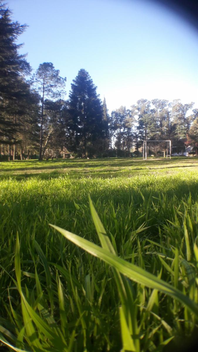 PLUMERILLO · Moreno — foto 102