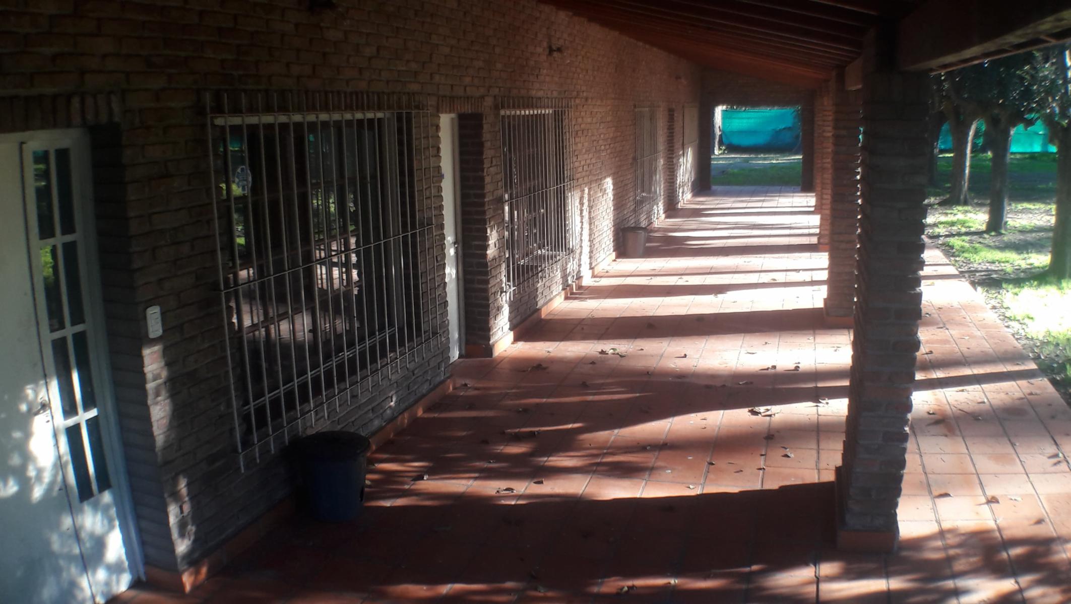 PLUMERILLO · Moreno — foto 105