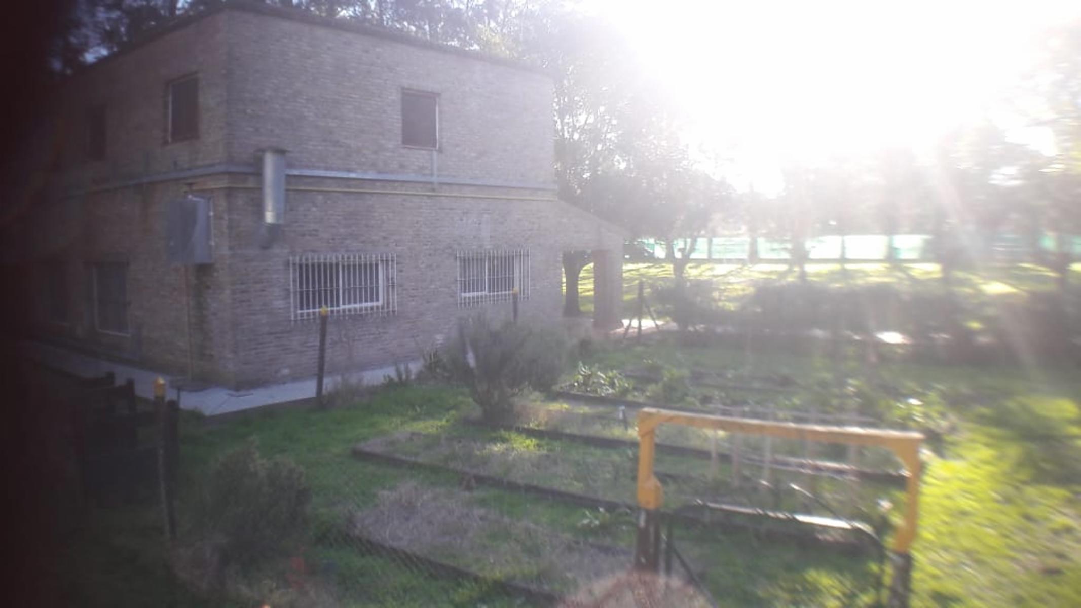PLUMERILLO · Moreno — foto 108