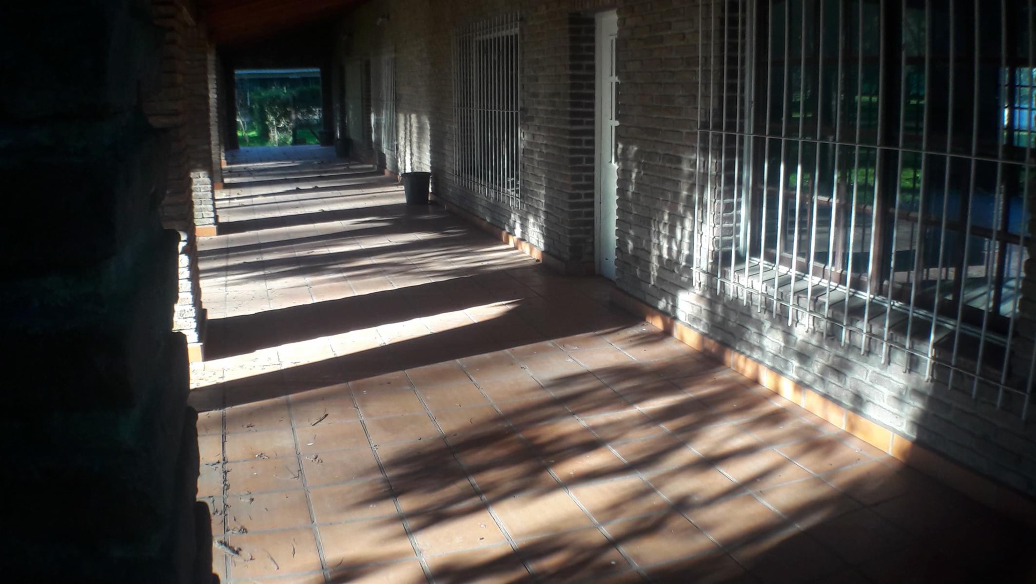 PLUMERILLO · Moreno — foto 109