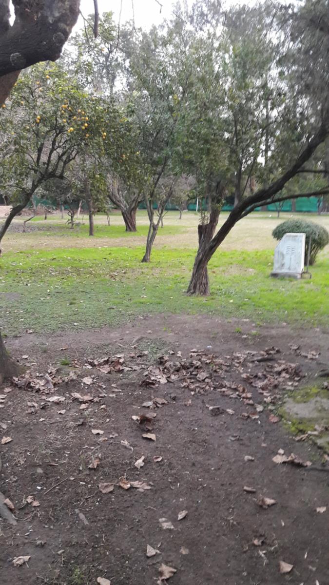 PLUMERILLO · Moreno — foto 12