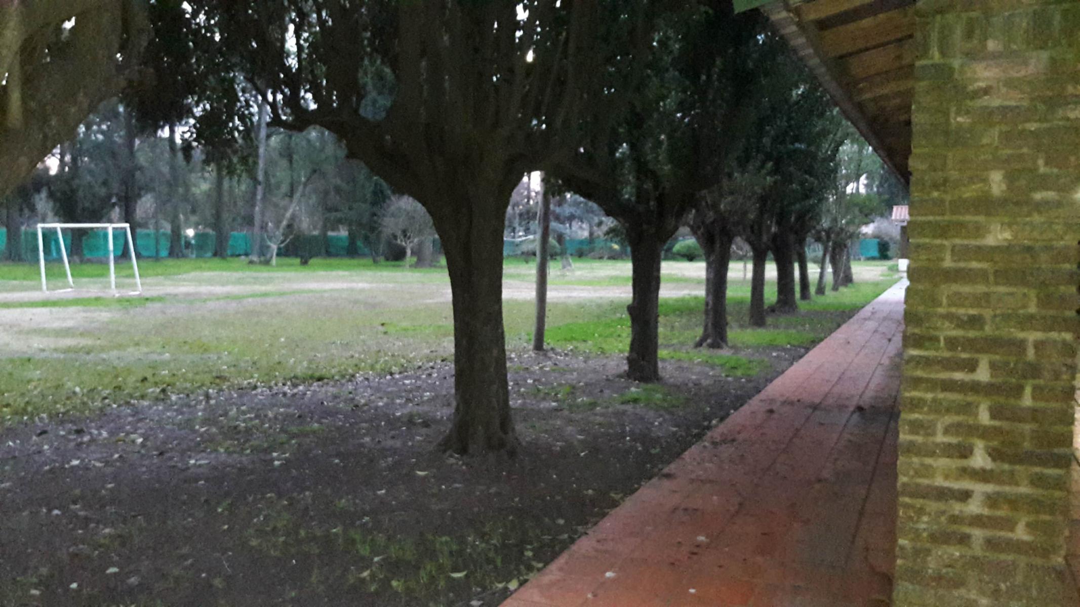 PLUMERILLO · Moreno — foto 15