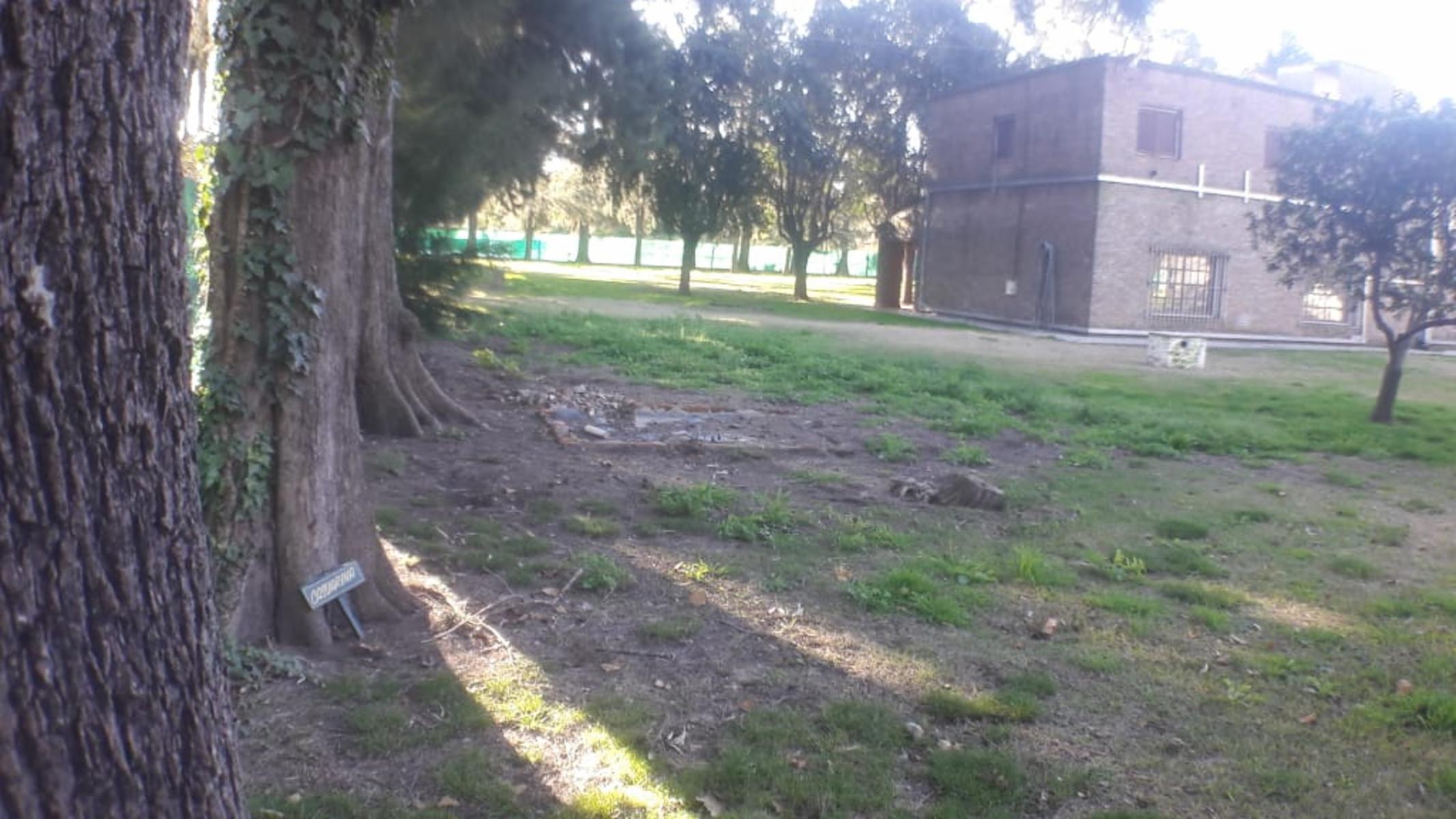 PLUMERILLO · Moreno — foto 16