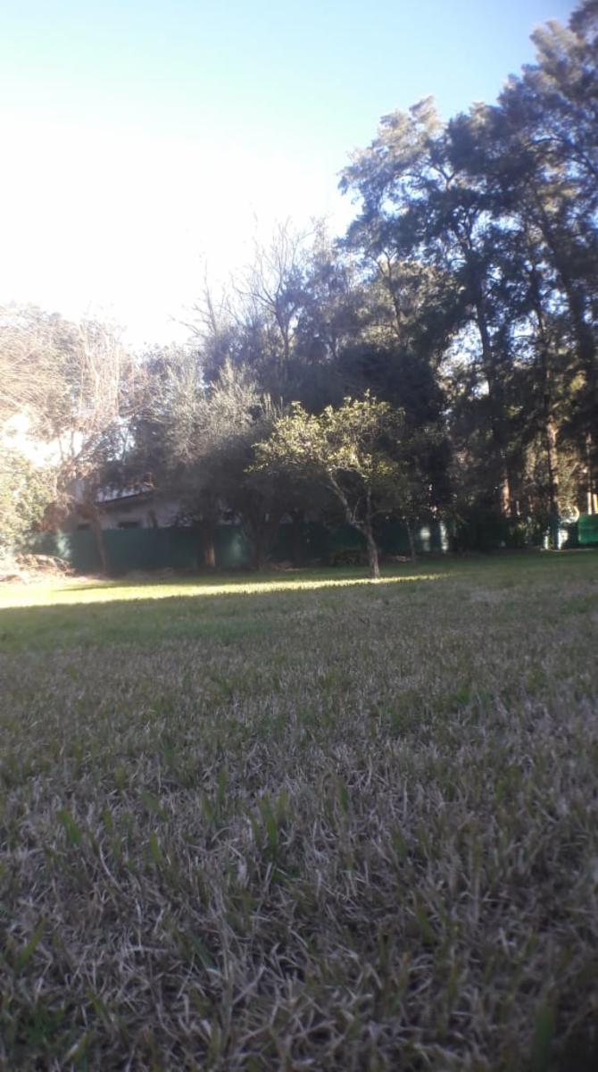 PLUMERILLO · Moreno — foto 3