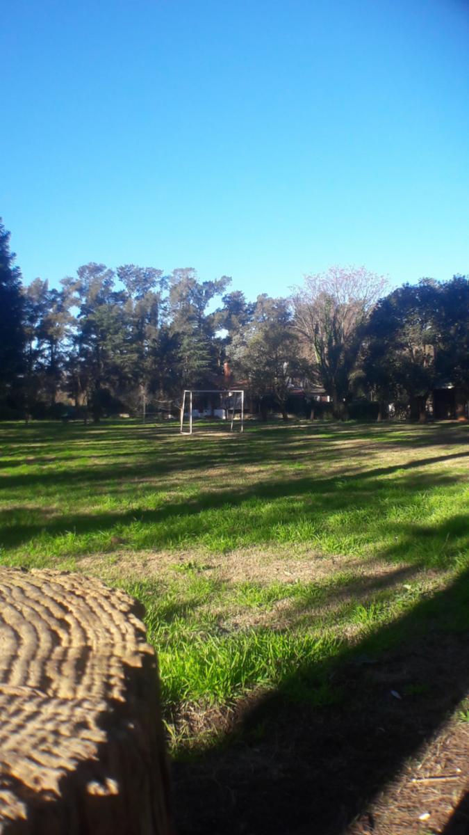 PLUMERILLO · Moreno — foto 21