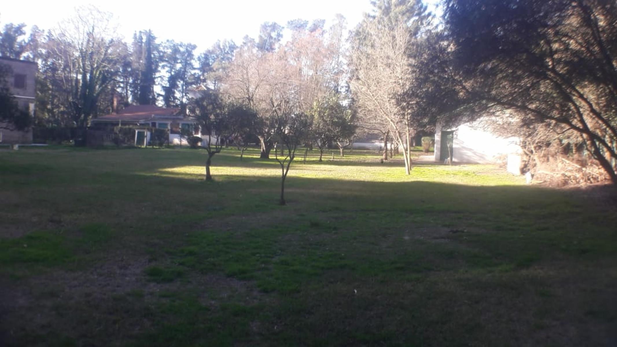 PLUMERILLO · Moreno — foto 22