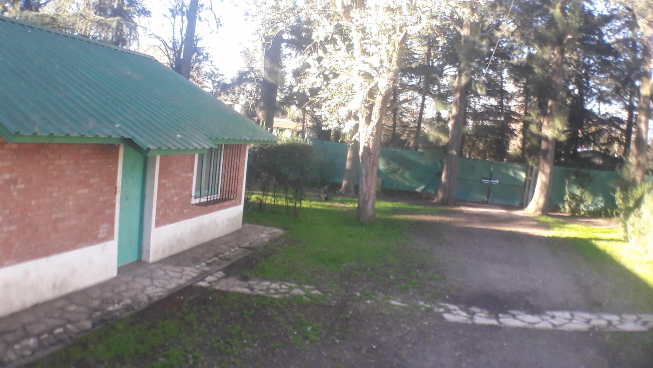 PLUMERILLO · Moreno — foto 23