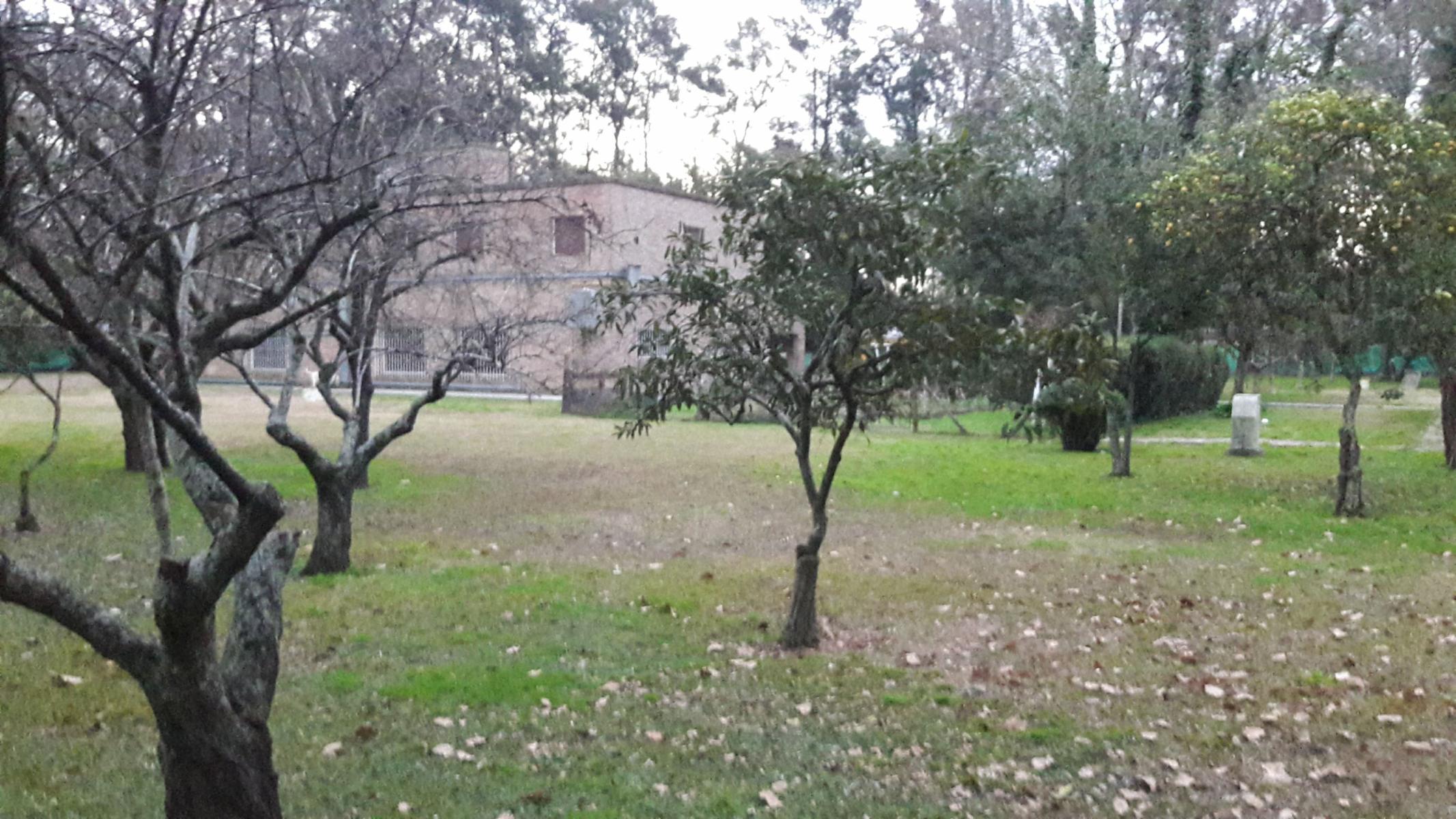 PLUMERILLO · Moreno — foto 28