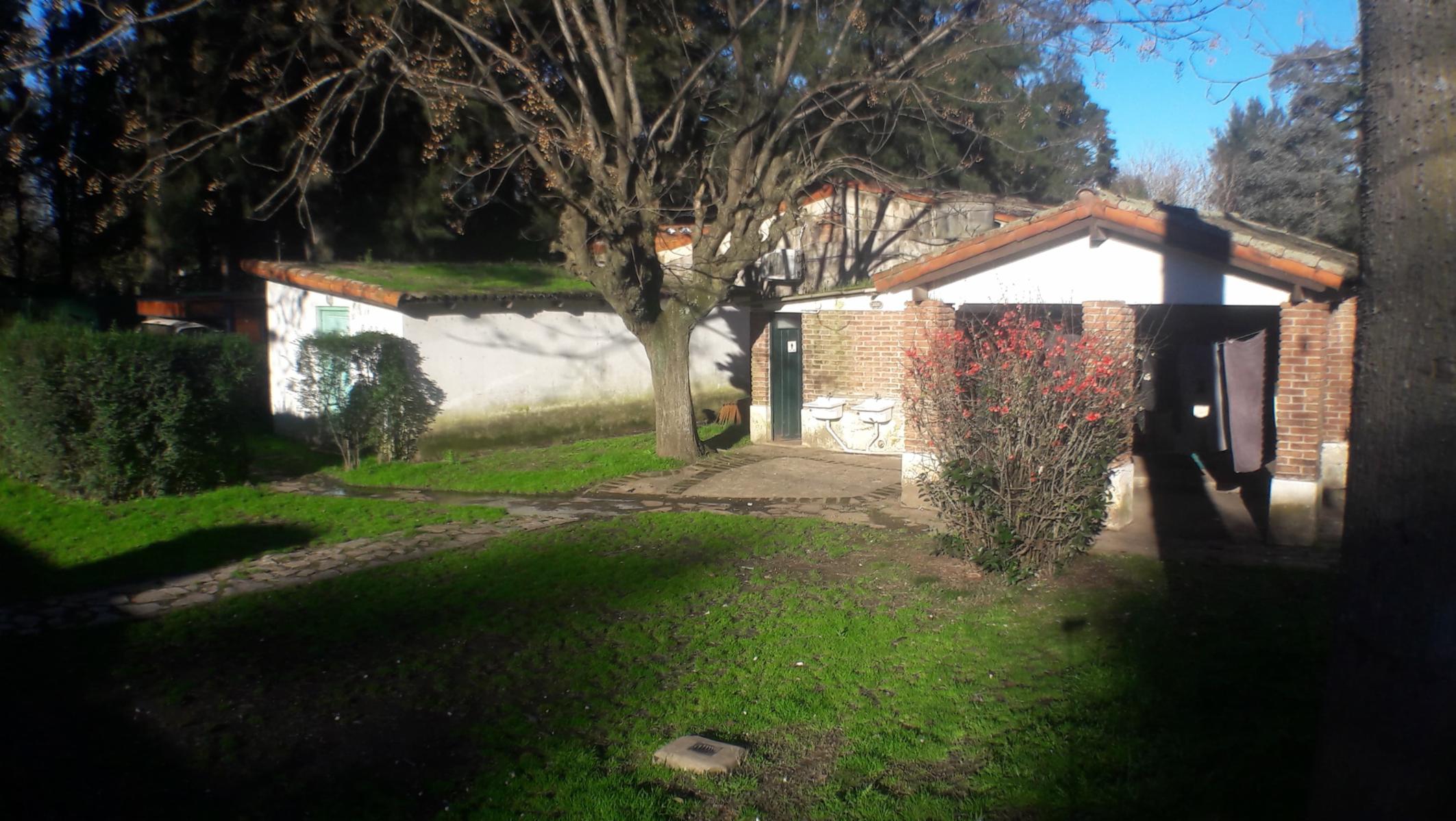 PLUMERILLO · Moreno — foto 29