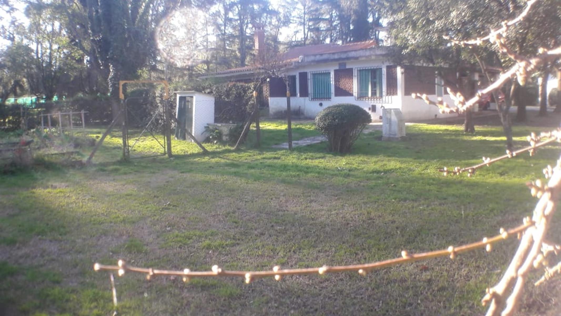 PLUMERILLO · Moreno — foto 30