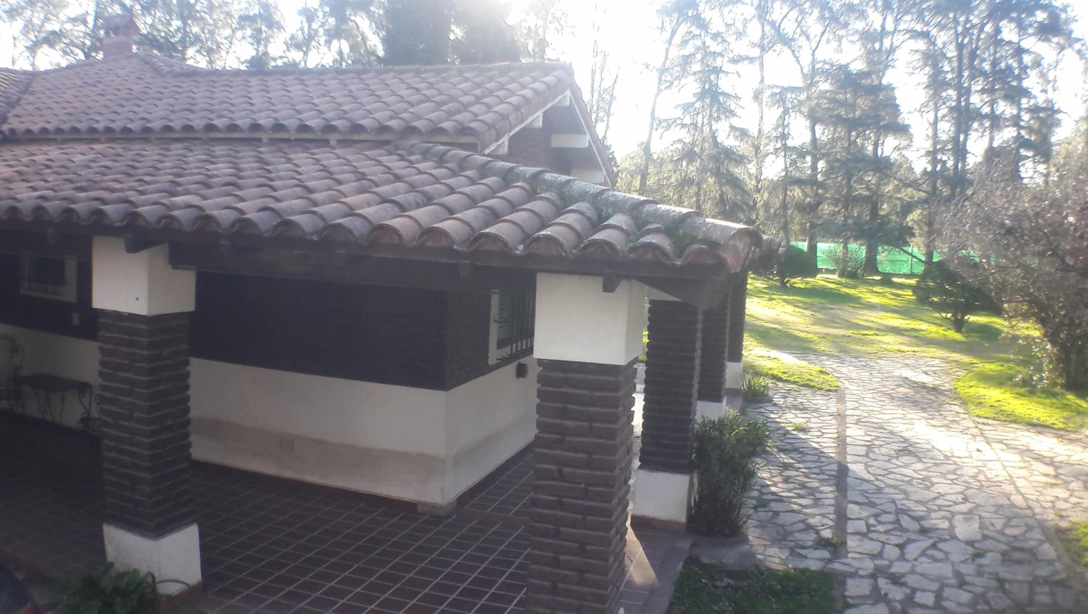 PLUMERILLO · Moreno — foto 32