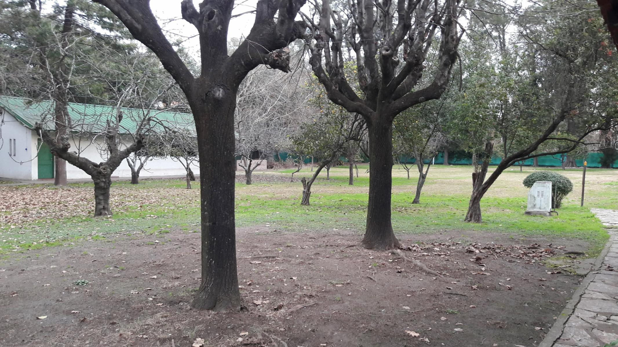 PLUMERILLO · Moreno — foto 37