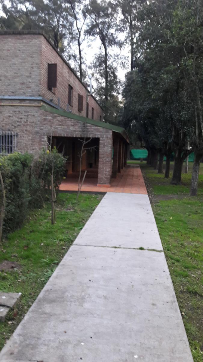PLUMERILLO · Moreno — foto 39