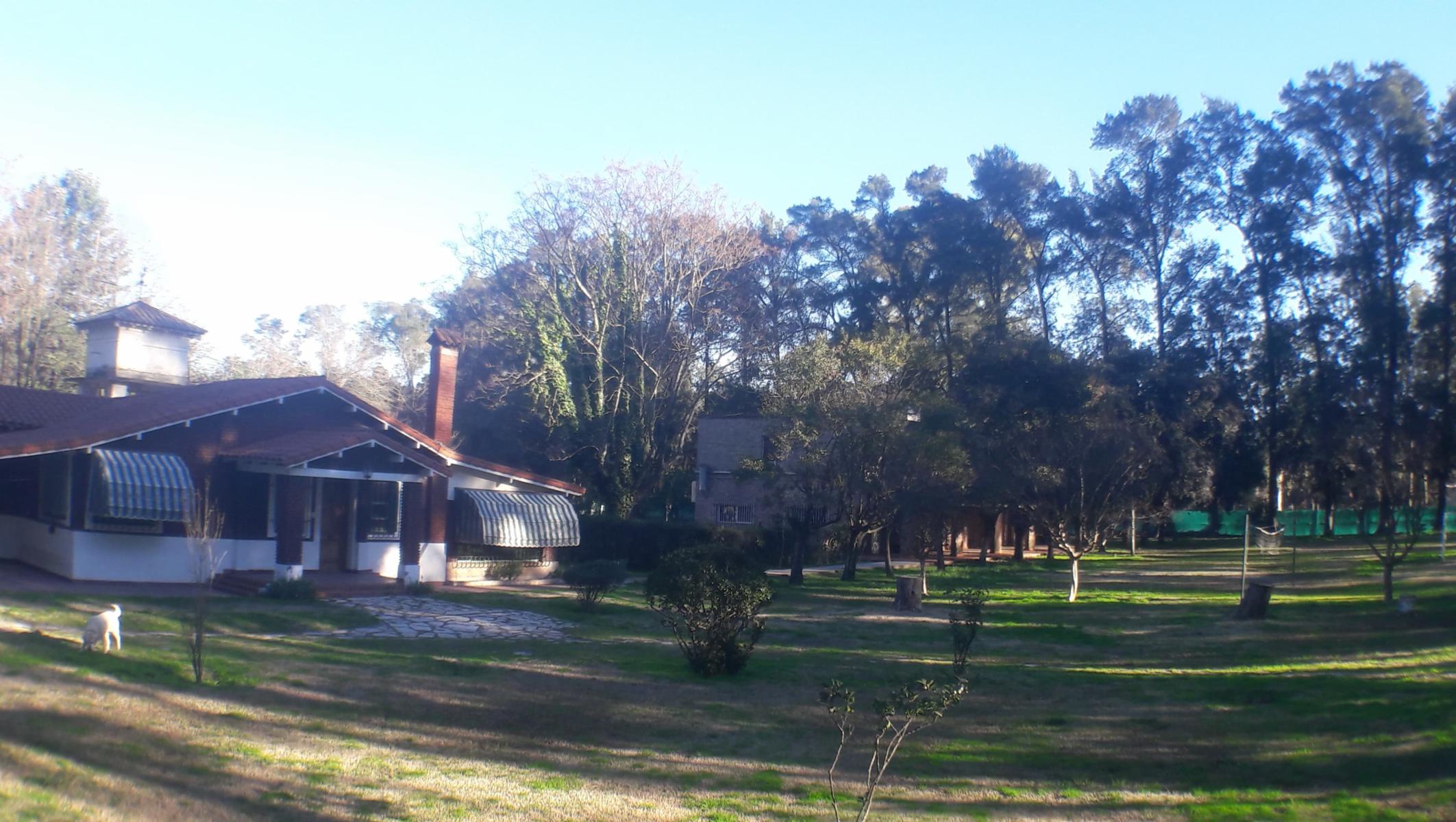 PLUMERILLO · Moreno — foto 40
