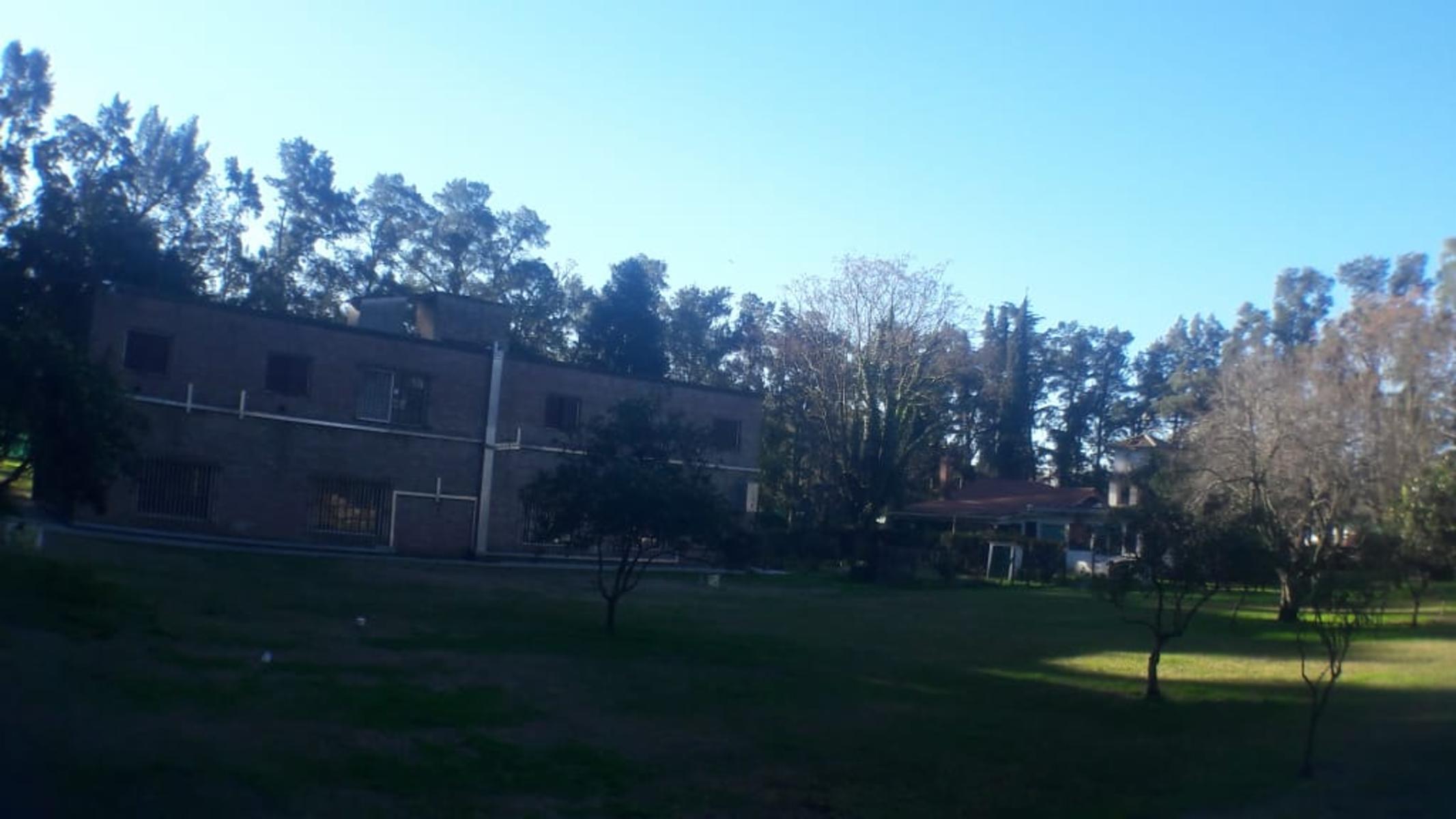 PLUMERILLO · Moreno — foto 5