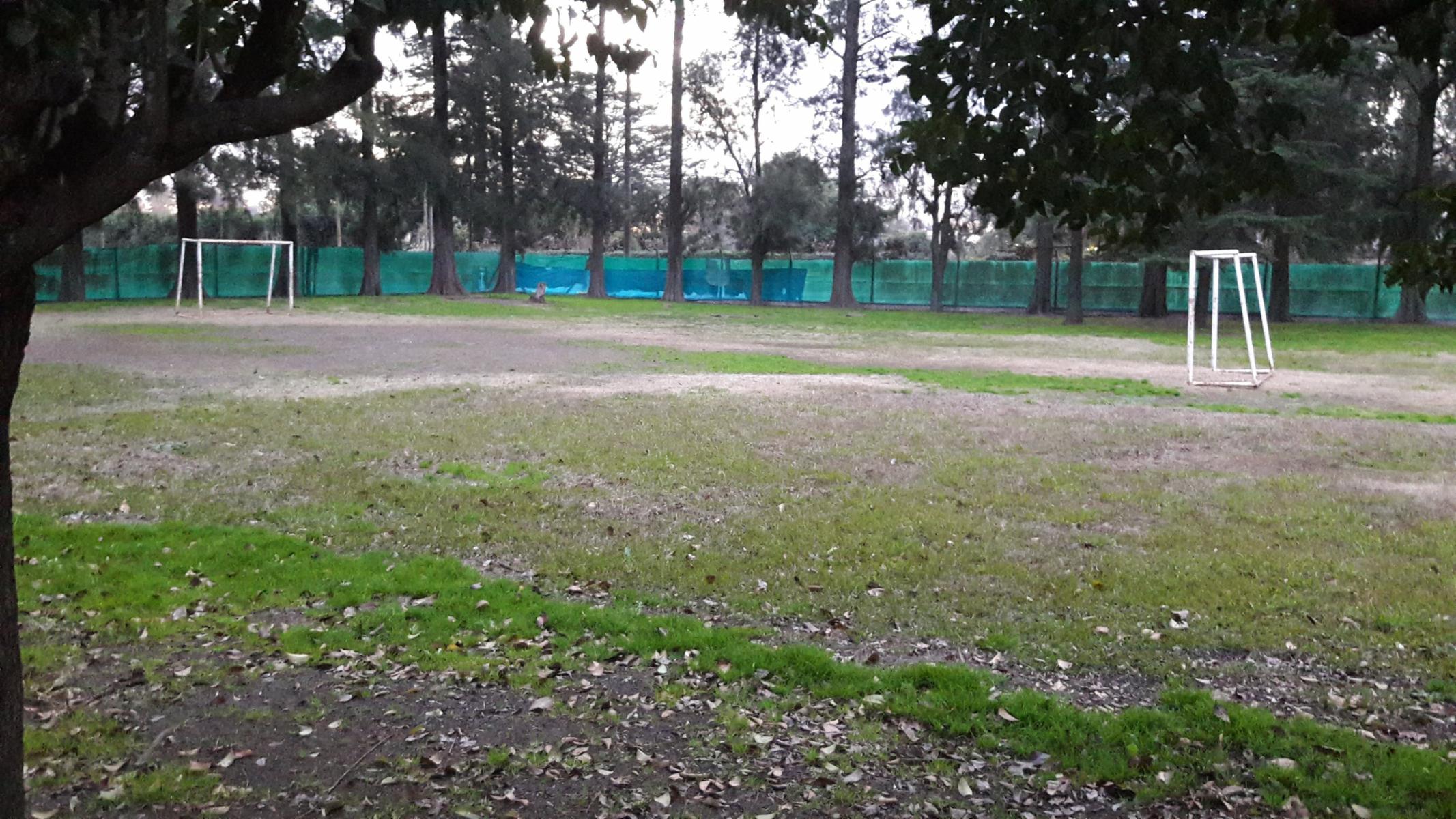 PLUMERILLO · Moreno — foto 41