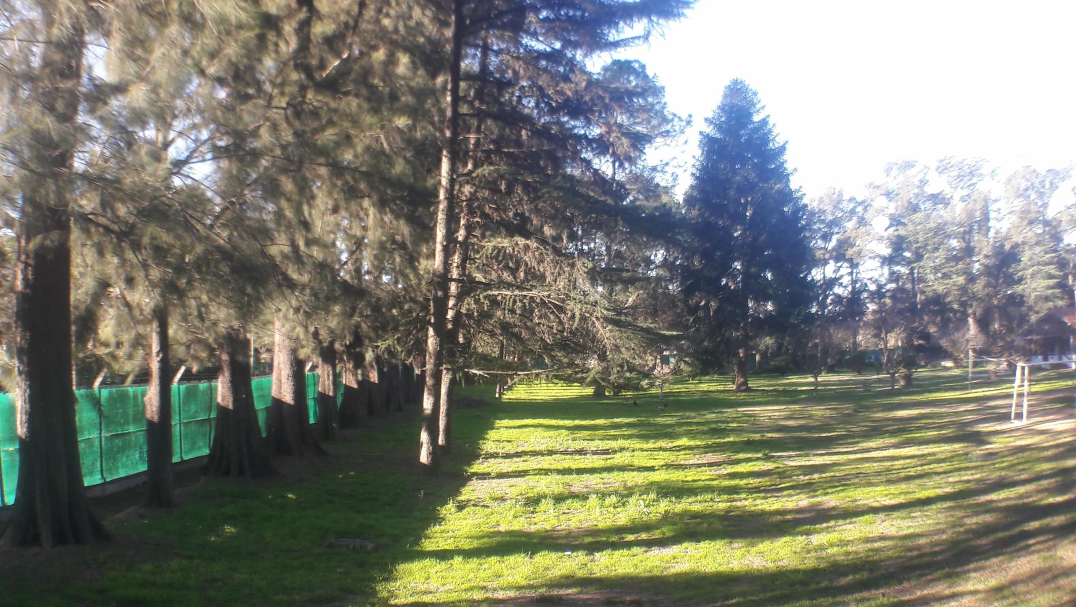 PLUMERILLO · Moreno — foto 43
