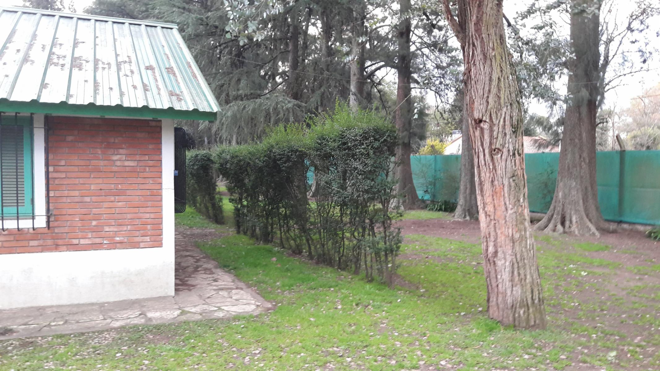 PLUMERILLO · Moreno — foto 44