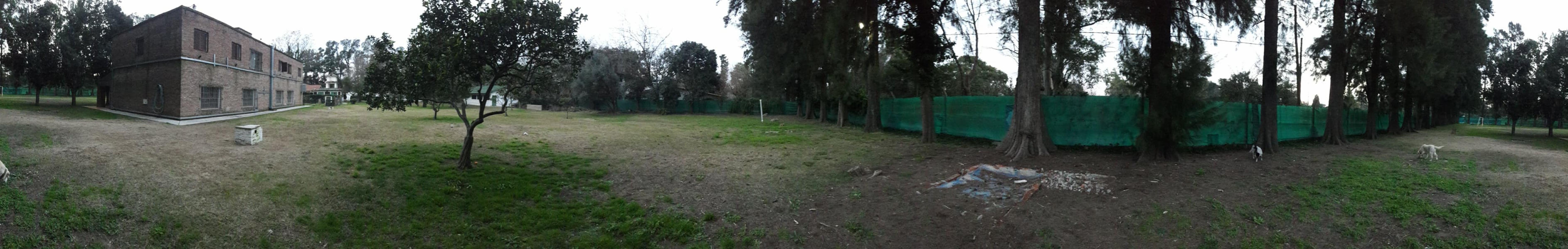 PLUMERILLO · Moreno — foto 46