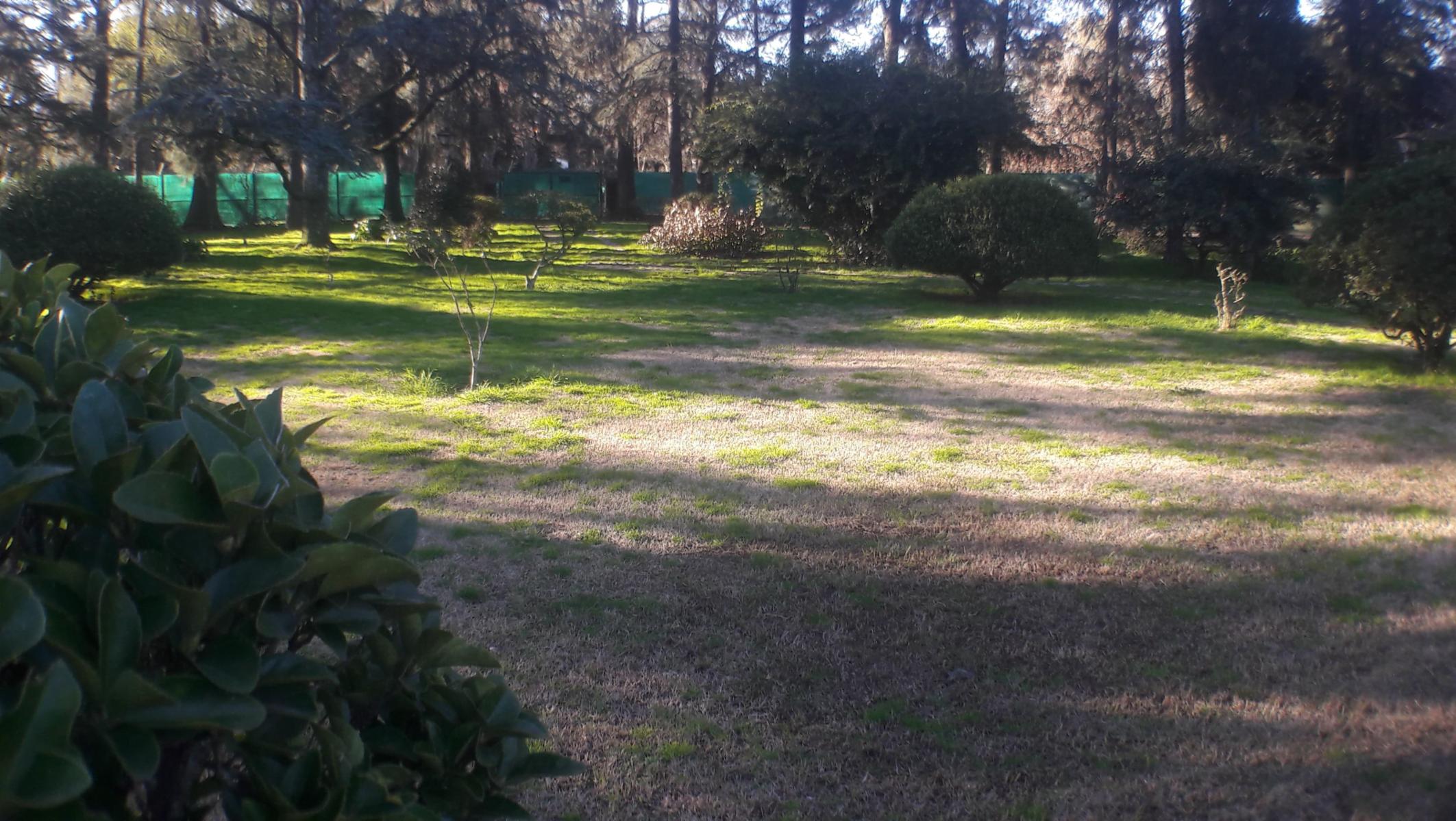 PLUMERILLO · Moreno — foto 6