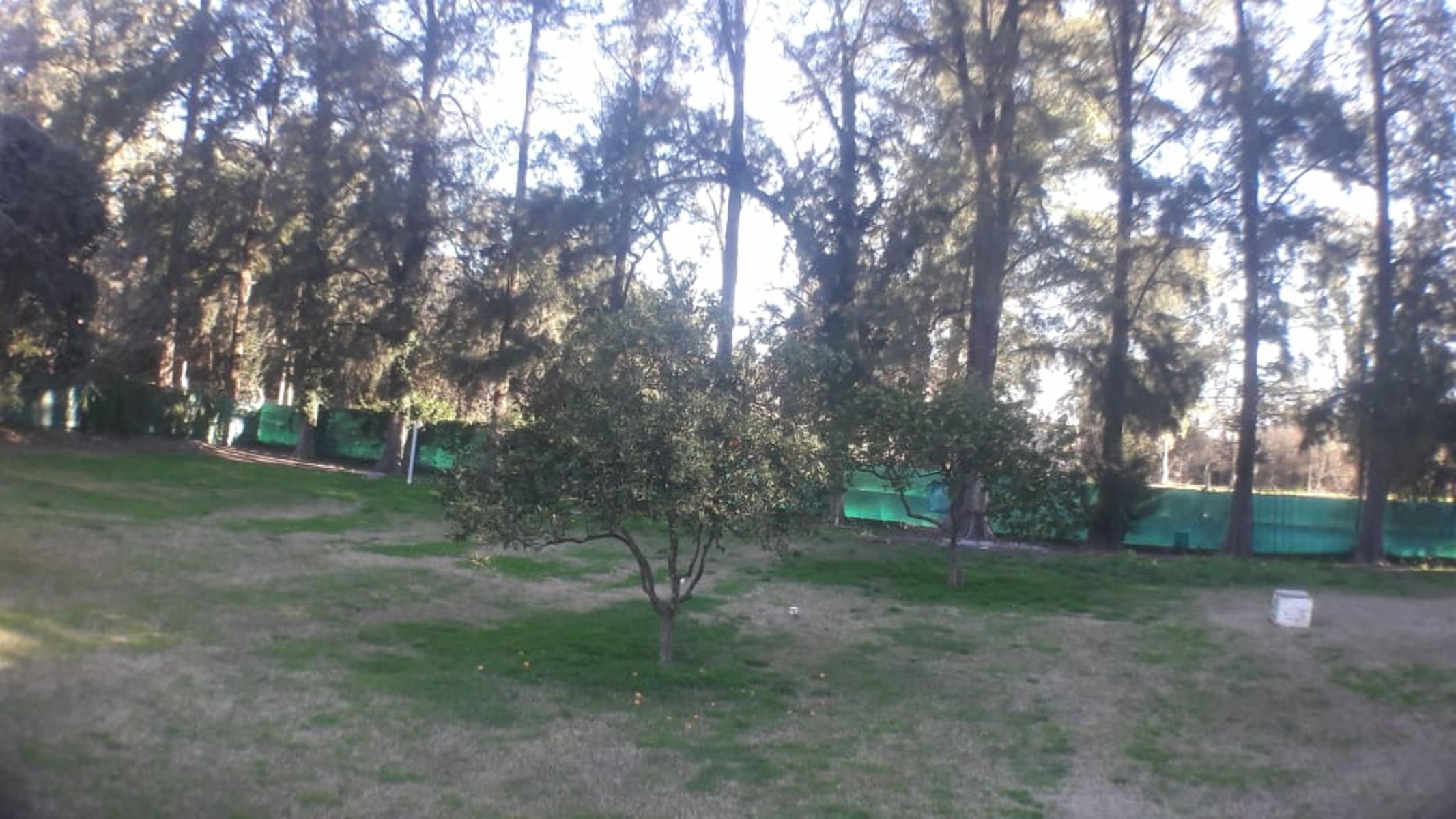 PLUMERILLO · Moreno — foto 52