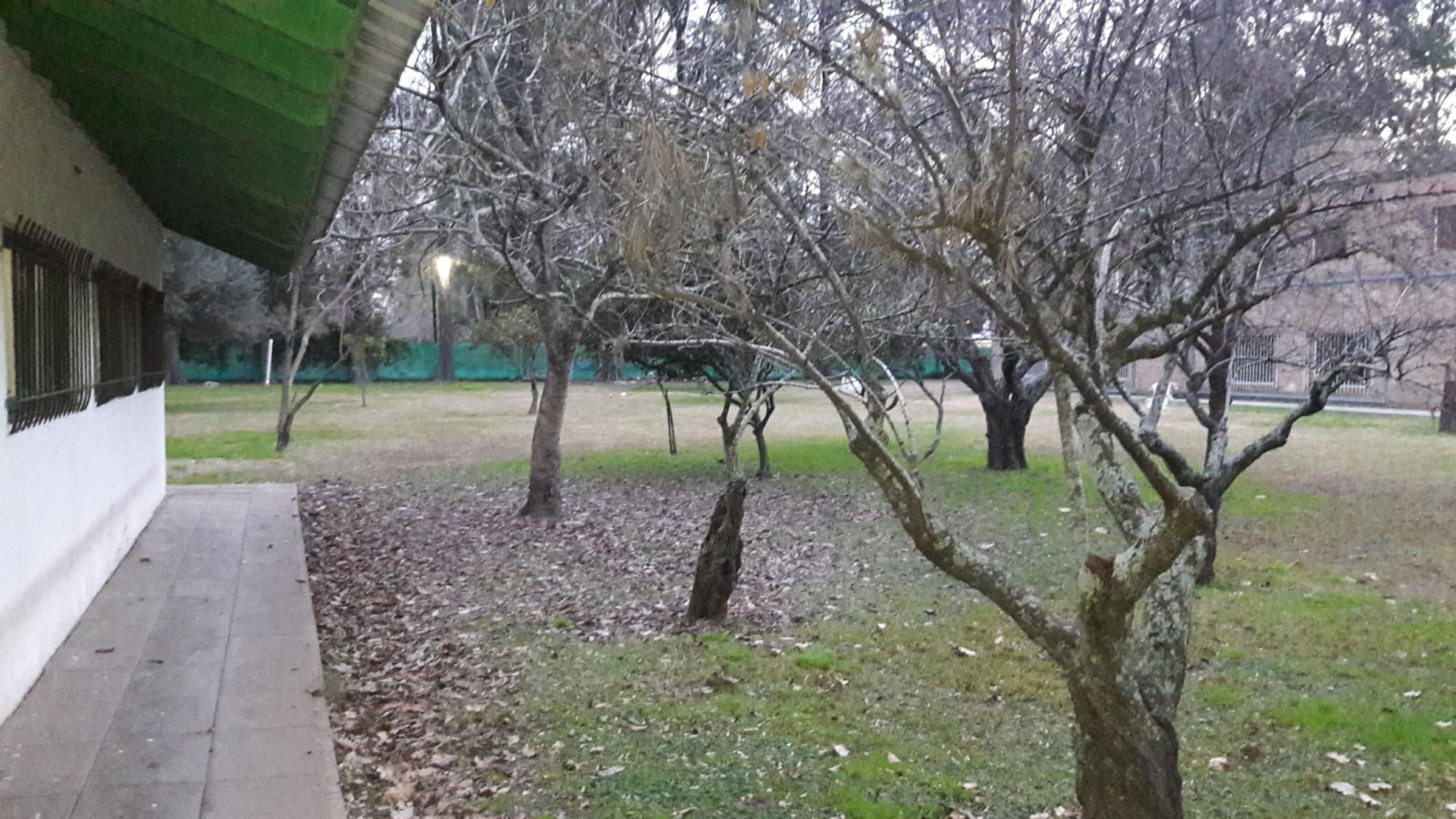 PLUMERILLO · Moreno — foto 53