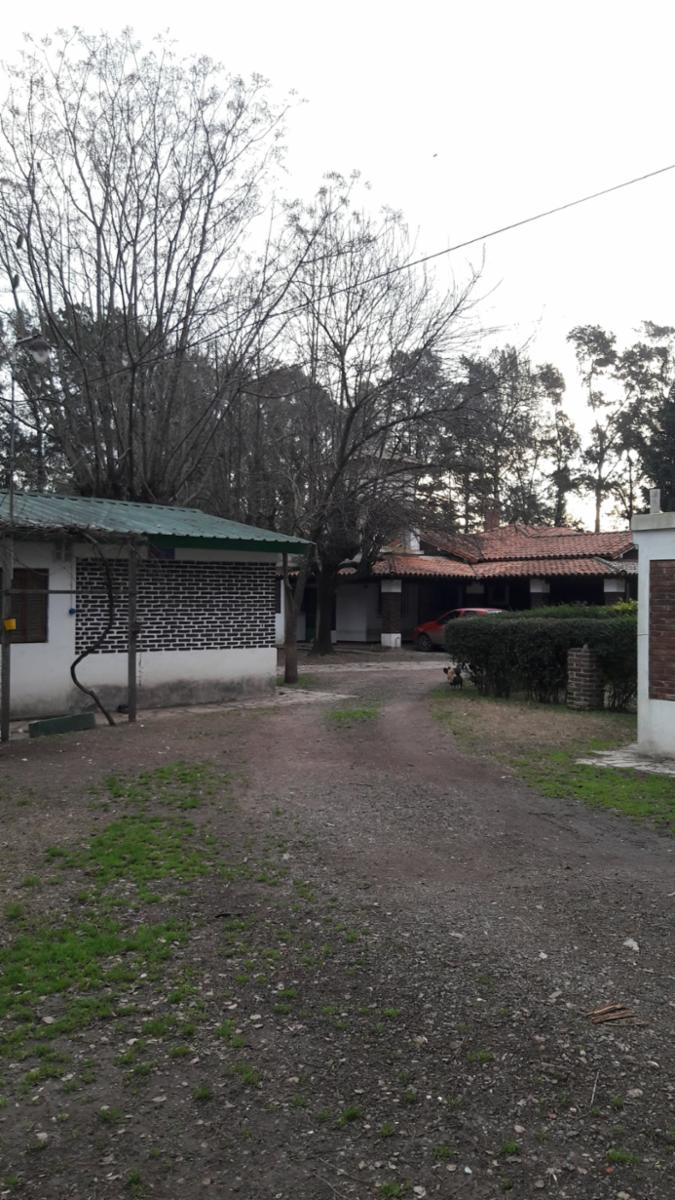 PLUMERILLO · Moreno — foto 54