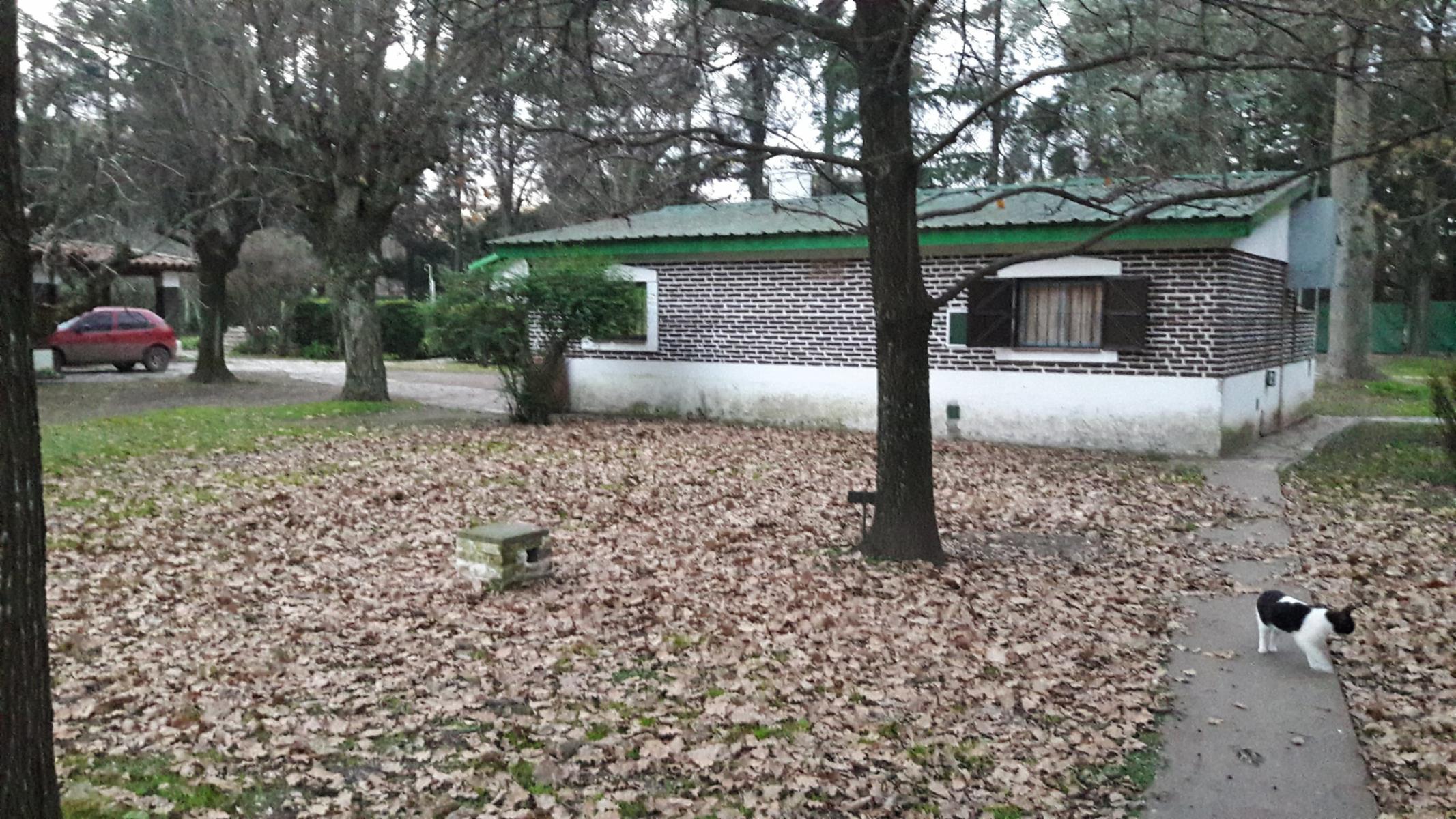 PLUMERILLO · Moreno — foto 55