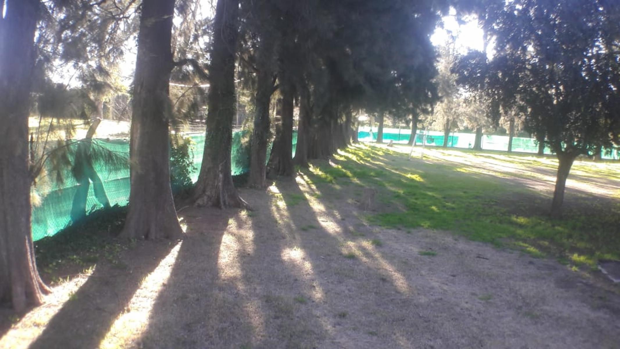 PLUMERILLO · Moreno — foto 56