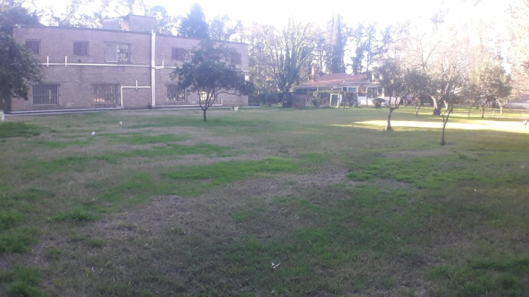 PLUMERILLO · Moreno — foto 58