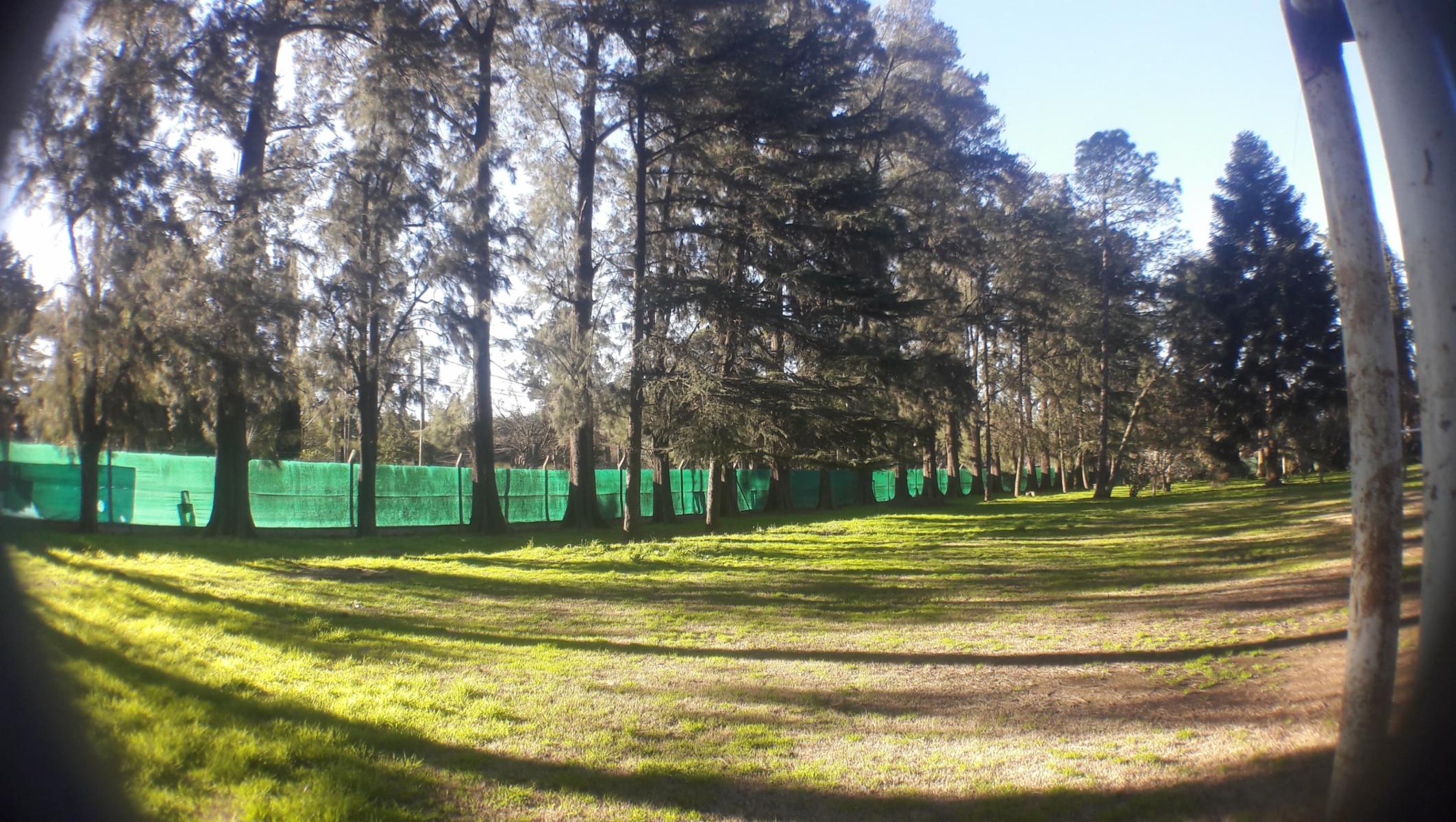PLUMERILLO · Moreno — foto 59