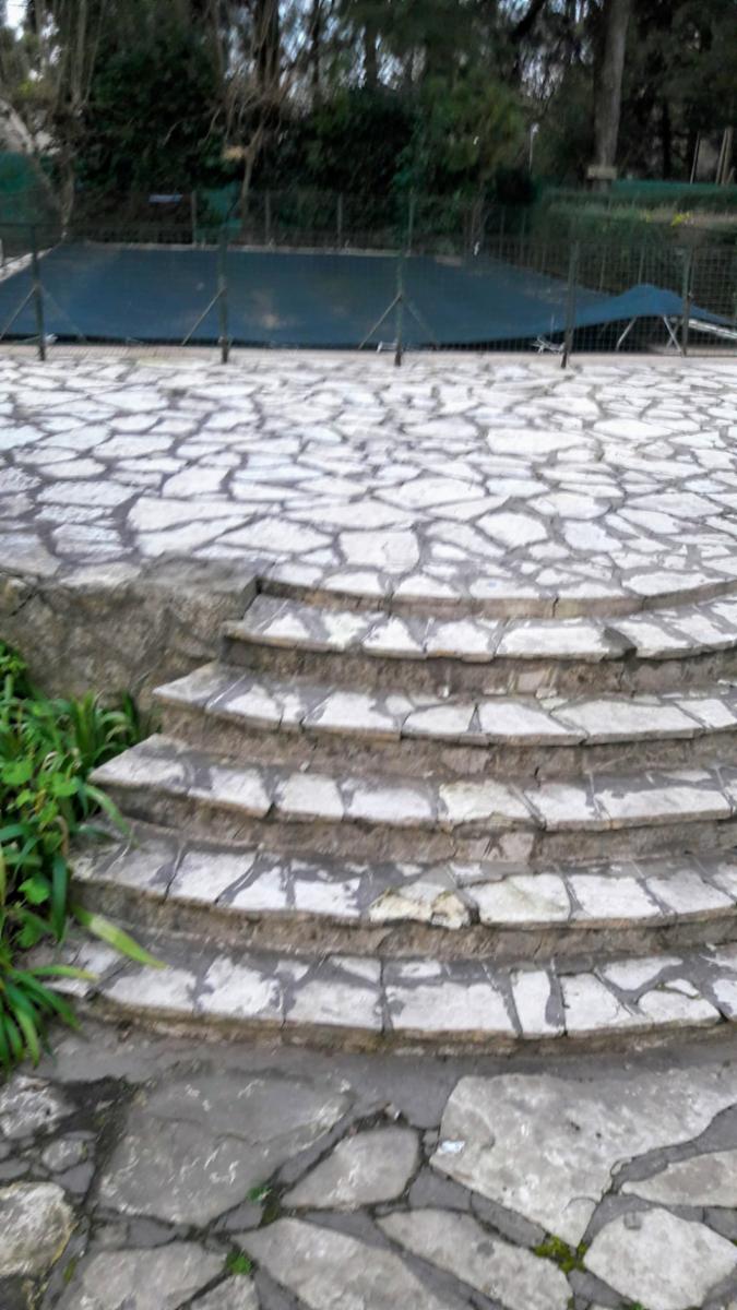 PLUMERILLO · Moreno — foto 62