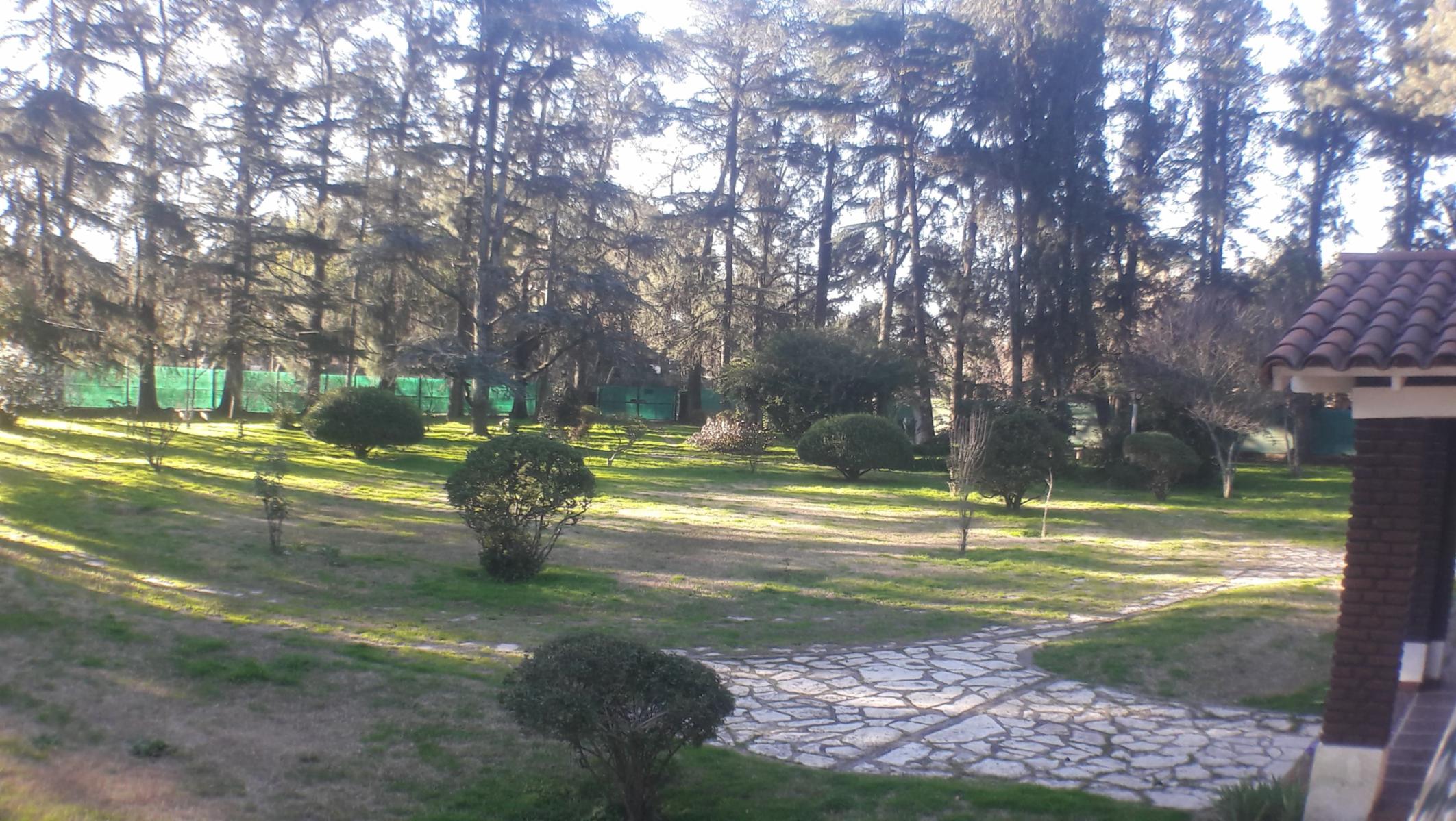 PLUMERILLO · Moreno — foto 65