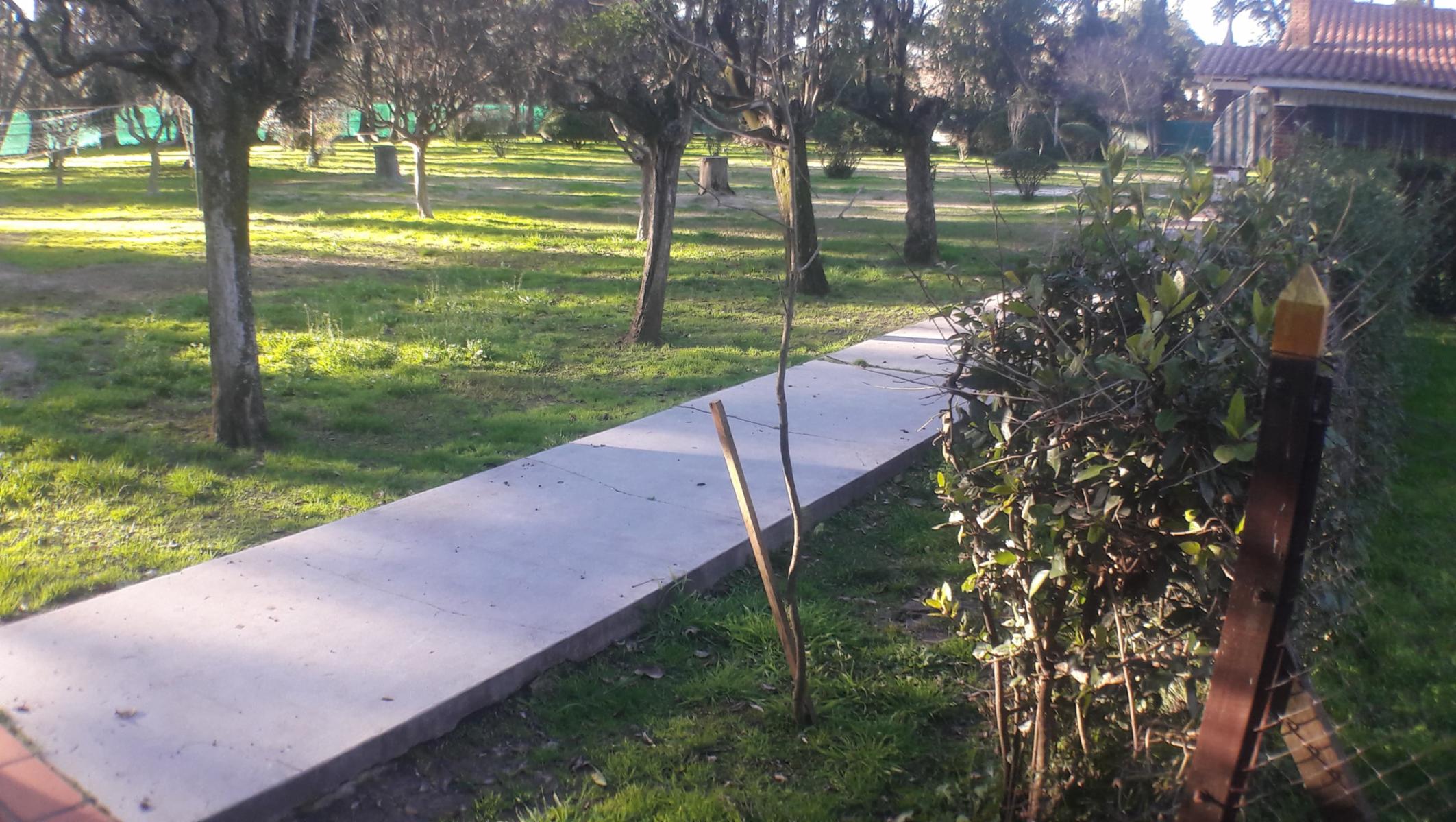 PLUMERILLO · Moreno — foto 66