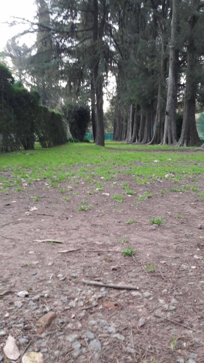 PLUMERILLO · Moreno — foto 67