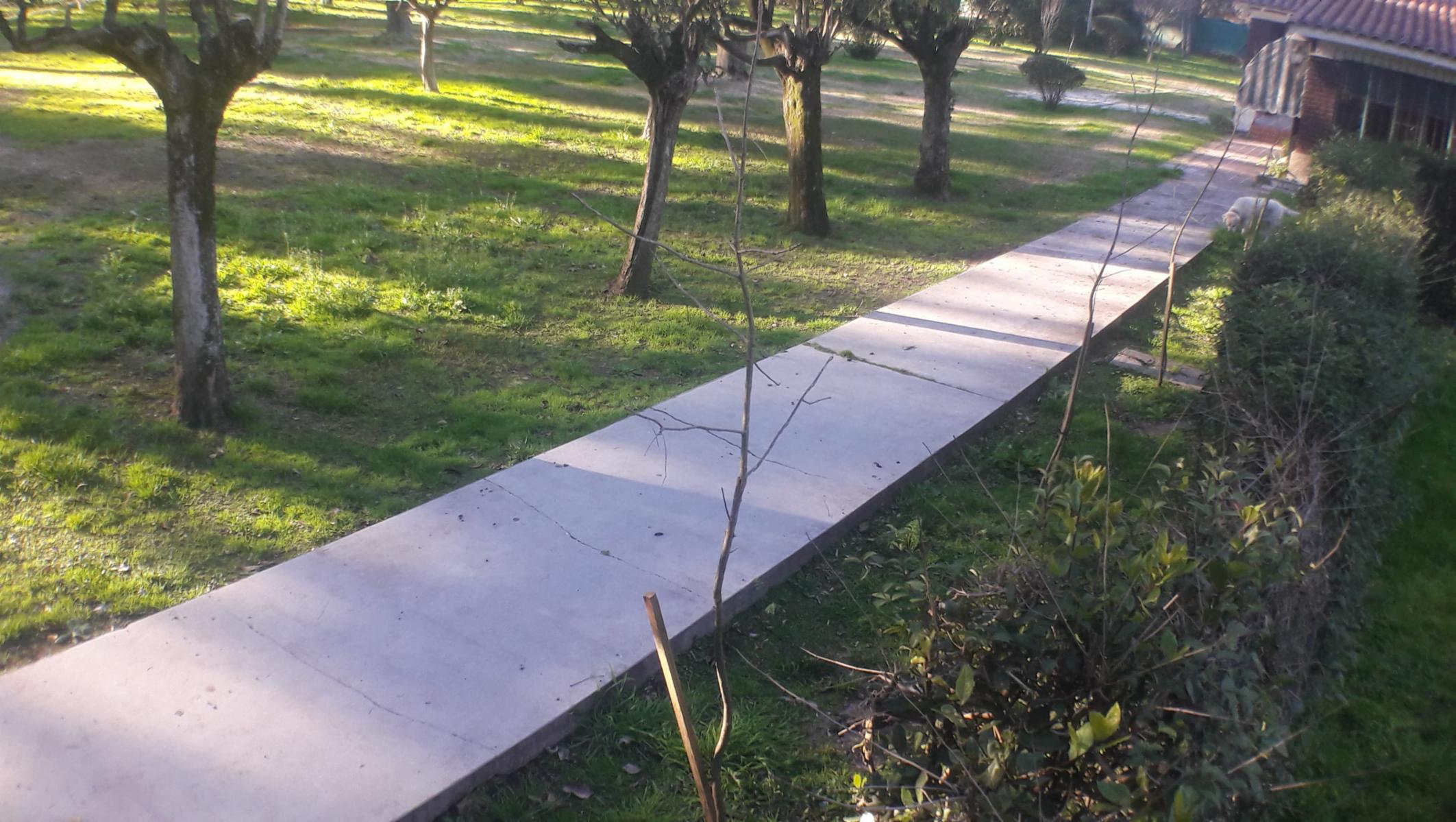 PLUMERILLO · Moreno — foto 72