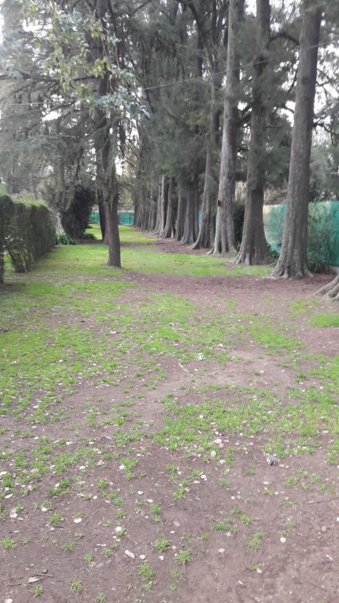 PLUMERILLO · Moreno — foto 78