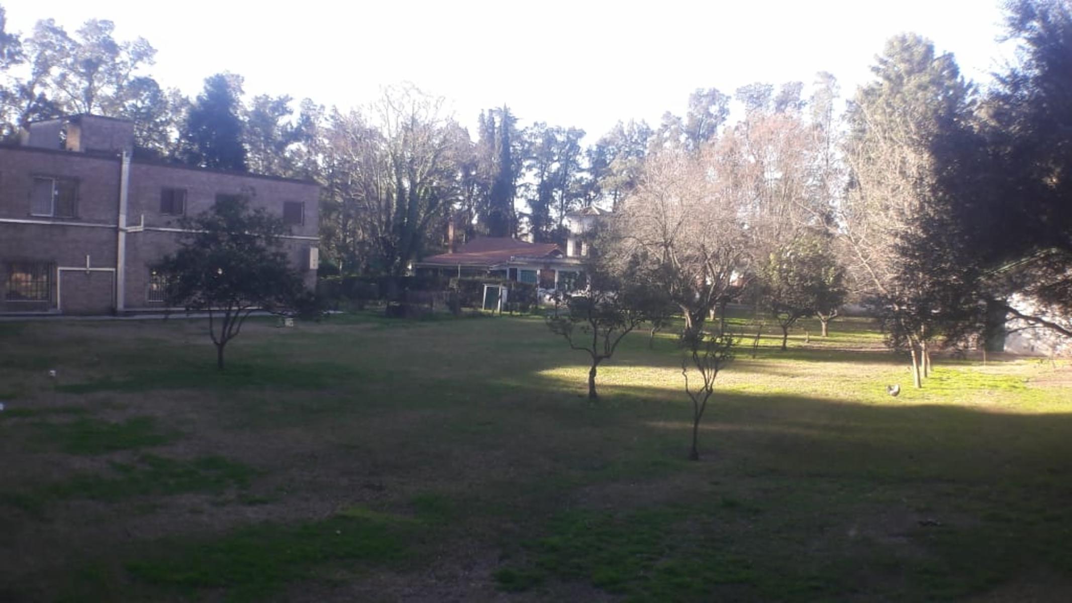 PLUMERILLO · Moreno — foto 79