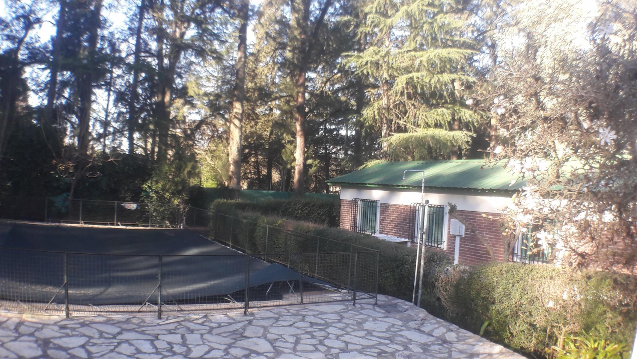 PLUMERILLO · Moreno — foto 81