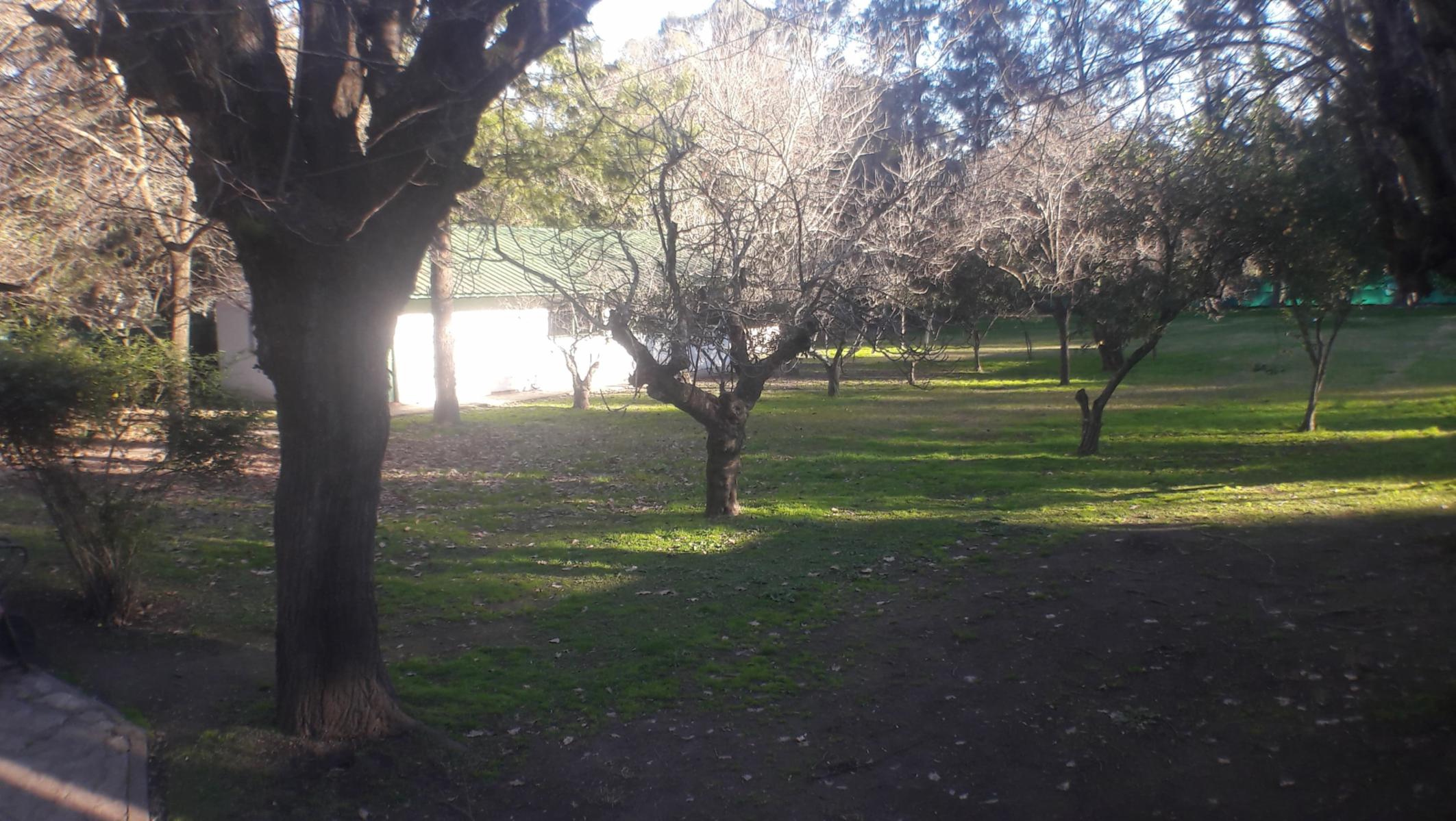 PLUMERILLO · Moreno — foto 83