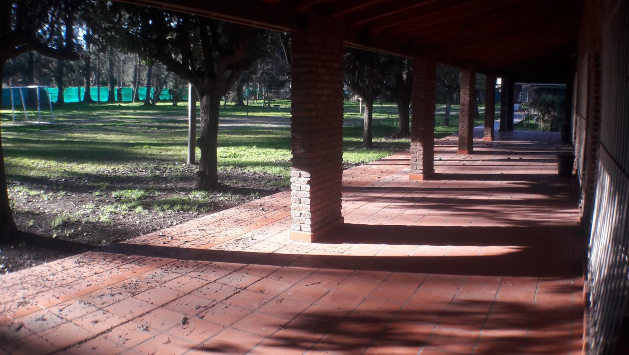 PLUMERILLO · Moreno — foto 88