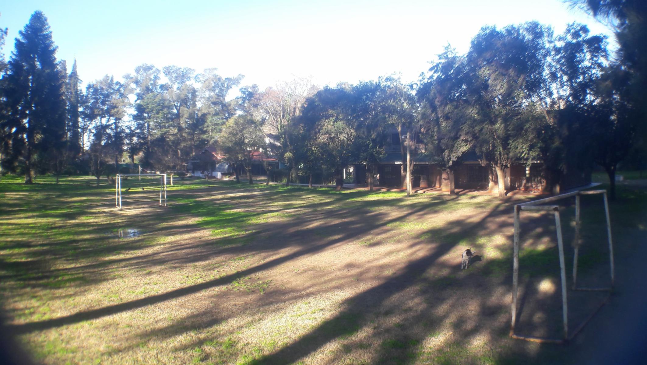 PLUMERILLO · Moreno — foto 89