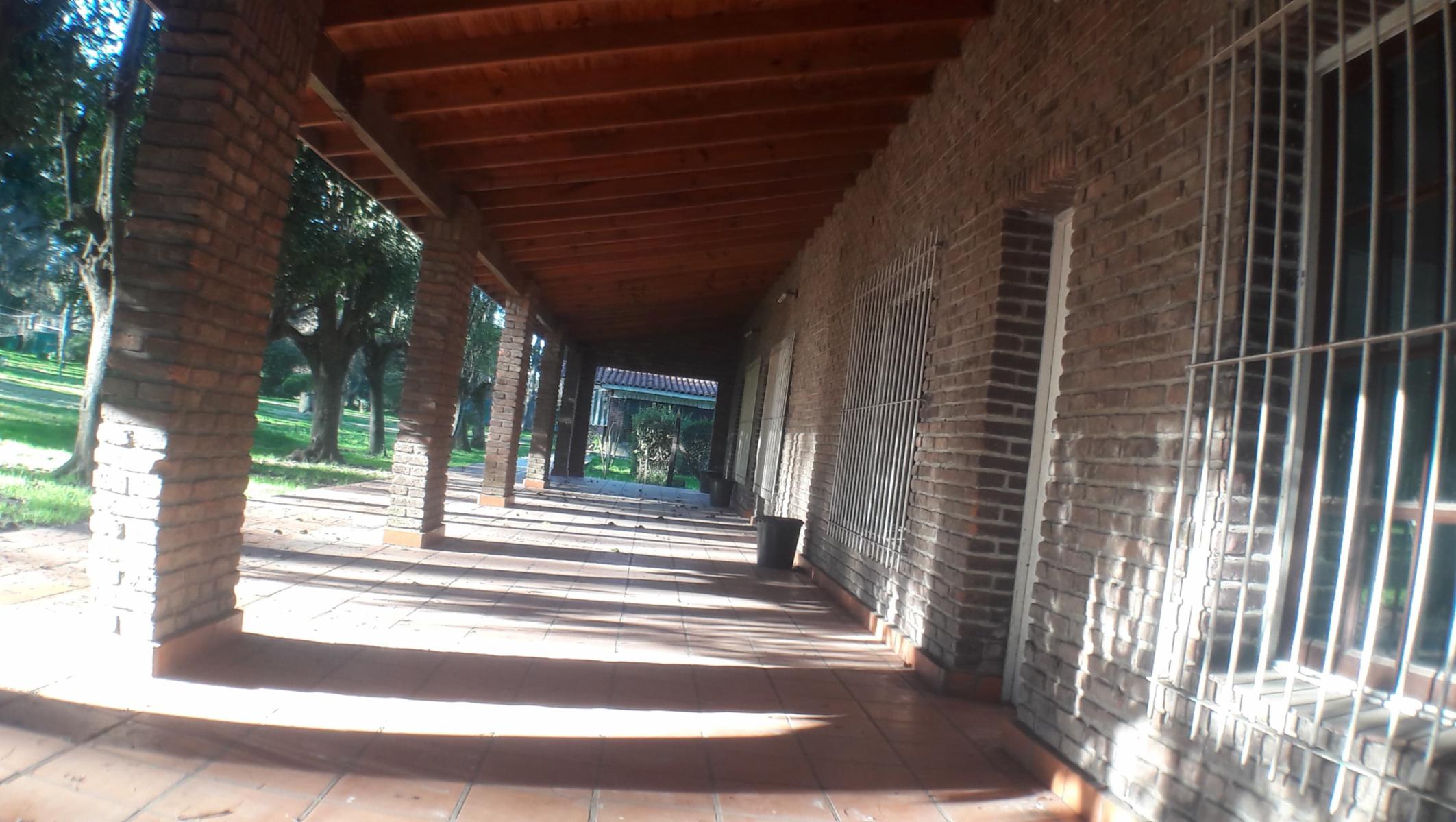 PLUMERILLO · Moreno — foto 10