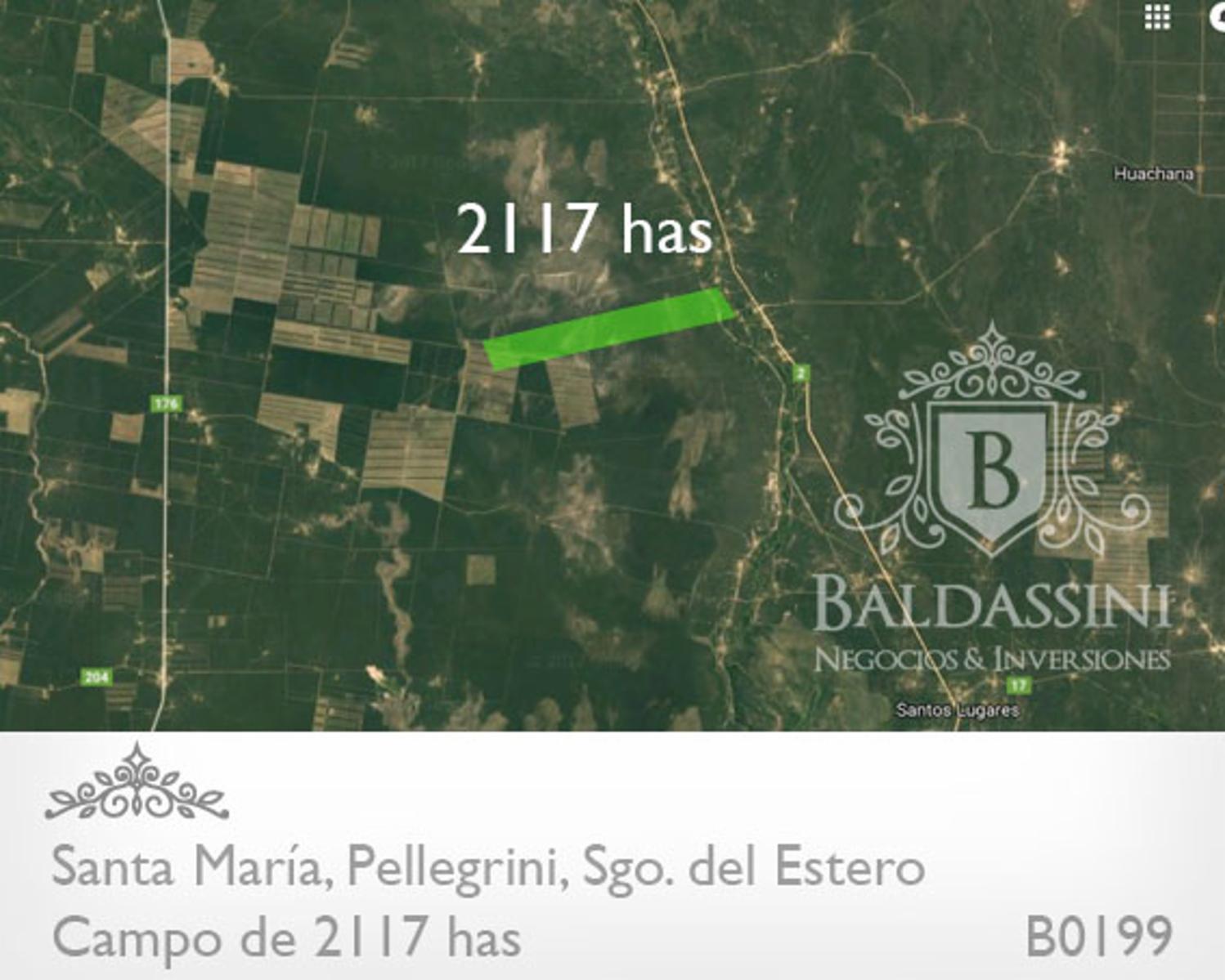 CAMPO DE 2117 HAS. EN SANTA MARÍA, PELLEGRINI, SANTIAGO DEL ESTERO. CAMPO A DESARROLLAR. MUY BUENA ZONA