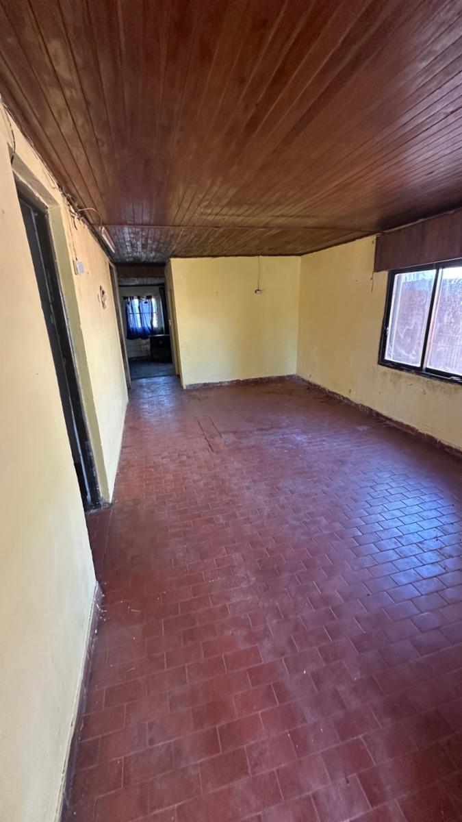 saavedra · Colón — foto 3