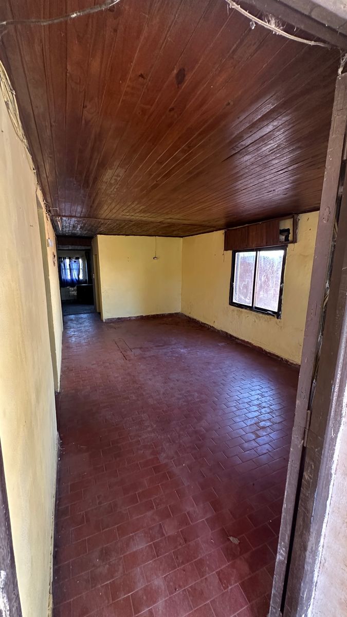 saavedra · Colón — foto 4